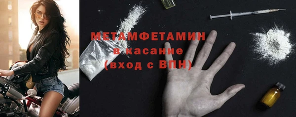 гидра Алексин